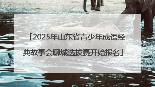 2025年山东省青少年成语经典故事会聊城选拔赛开始报名