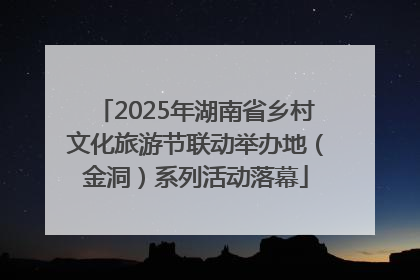 2025年湖南省乡村文化旅游节联动举办地（金洞）系列活动落幕