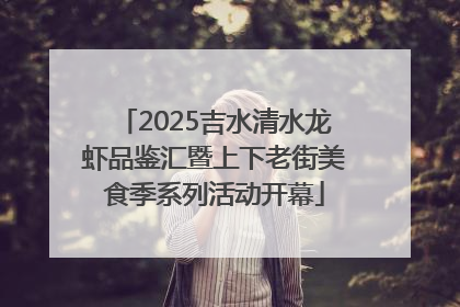2025吉水清水龙虾品鉴汇暨上下老街美食季系列活动开幕