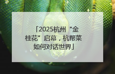 2025杭州“金桂花”启幕，杭帮菜如何对话世界