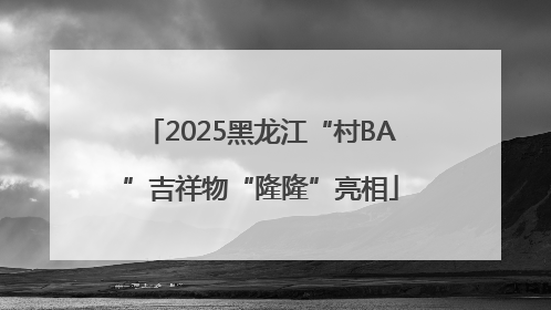 2025黑龙江“村BA”吉祥物“隆隆”亮相