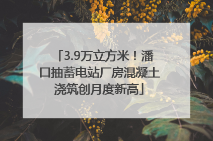 3.9万立方米！潘口抽蓄电站厂房混凝土浇筑创月度新高