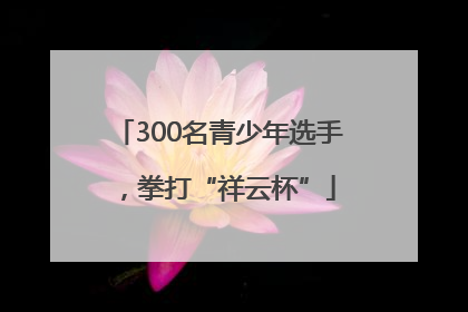300名青少年选手，拳打“祥云杯”
