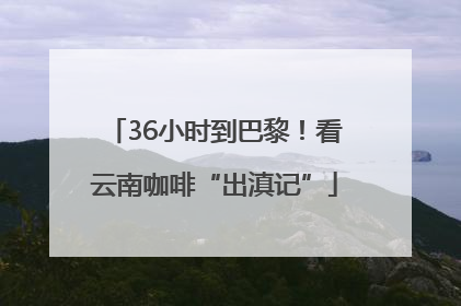 36小时到巴黎！看云南咖啡“出滇记”