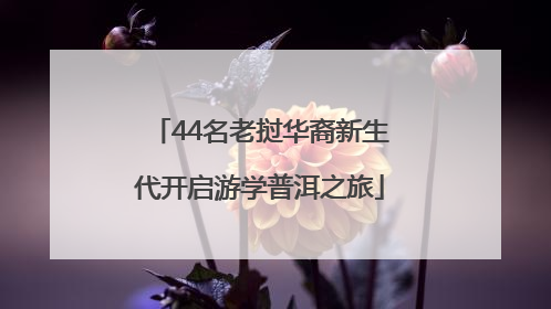 44名老挝华裔新生代开启游学普洱之旅