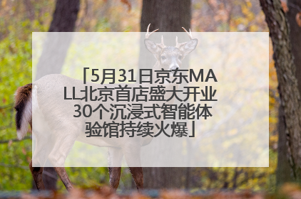 5月31日京东MALL北京首店盛大开业 30个沉浸式智能体验馆持续火爆