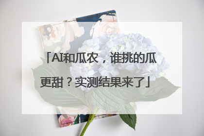 AI和瓜农，谁挑的瓜更甜？实测结果来了