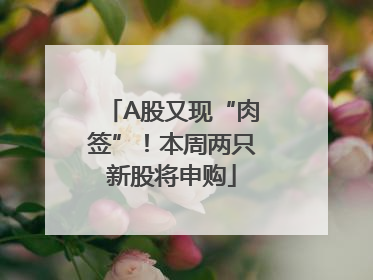 A股又现“肉签”！本周两只新股将申购
