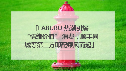 LABUBU 热潮引爆 “情绪价值” 消费，顺丰同城等第三方即配乘风而起